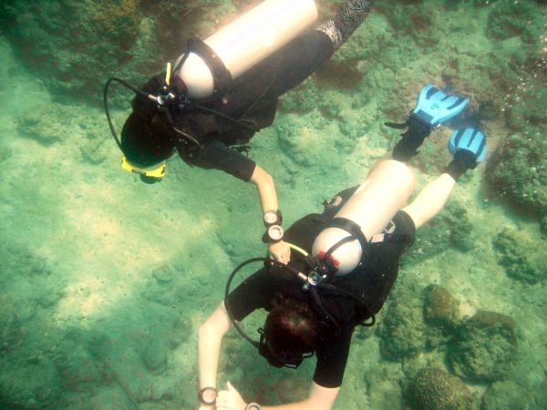 navigation skills on open water course