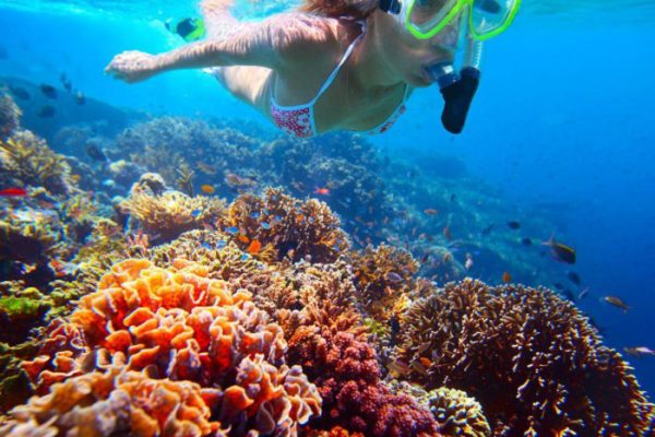 great snorkelling