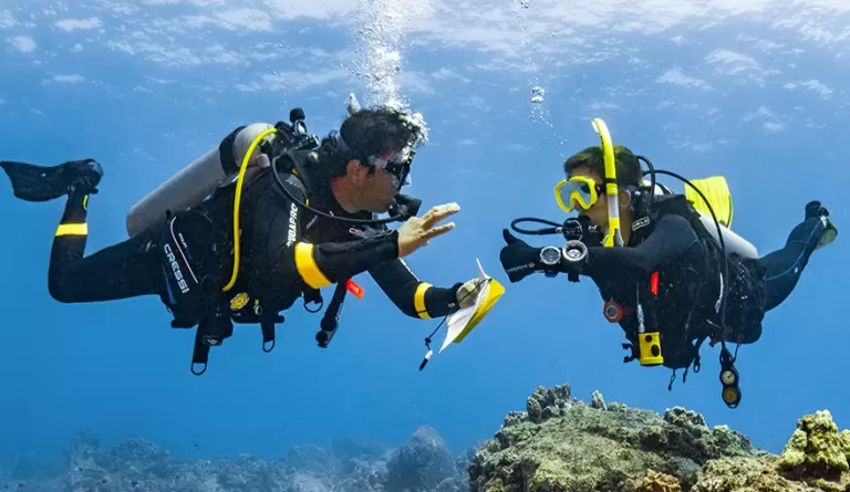 Divemaster checking in with diver underwater