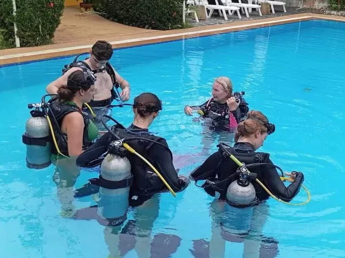 Learning to teach in the pool