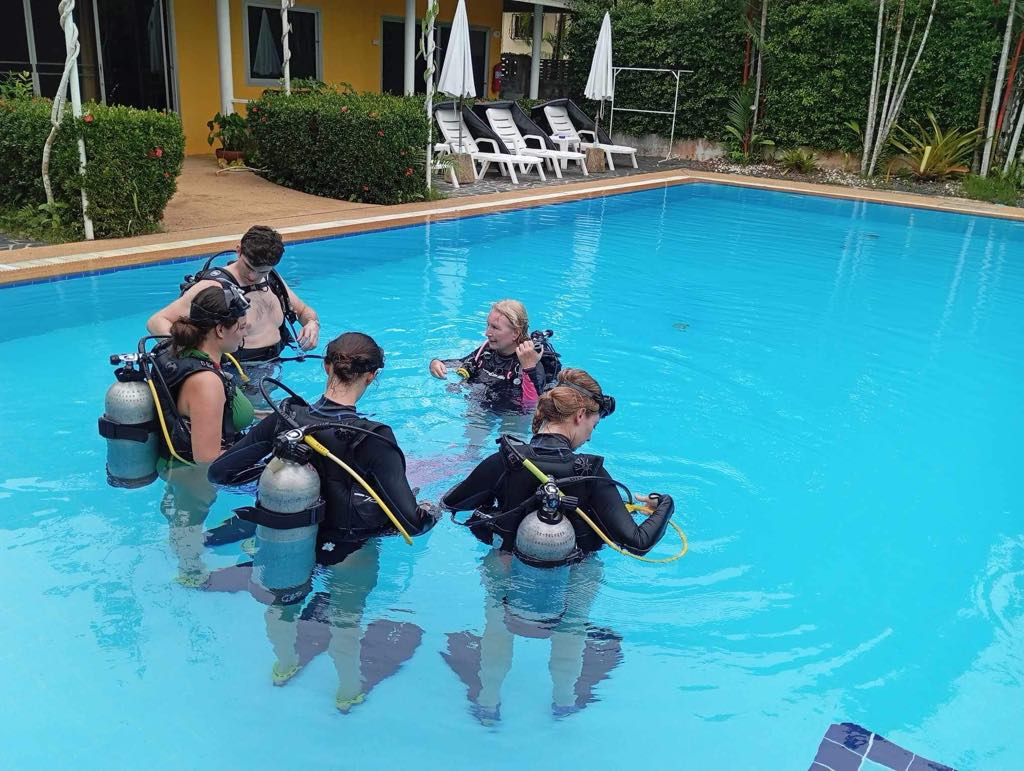 Learning to teach in the pool