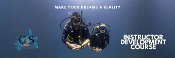 why choose PADI over SSI